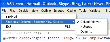 customize ie view source
